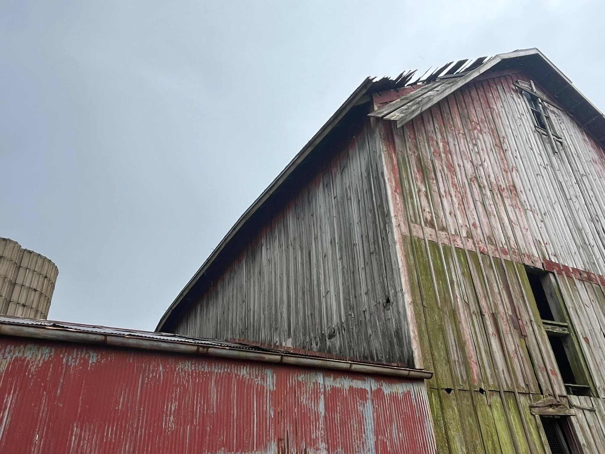 Timber Frame Rescue view 9