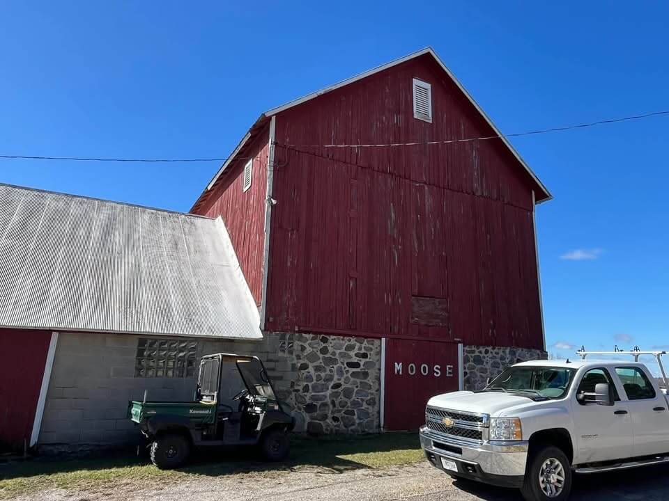 Tongue & Groove Pine Renovation view 8