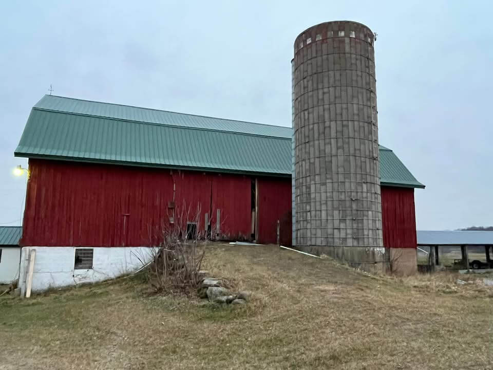 Green Metal Roof Upgrade view 2