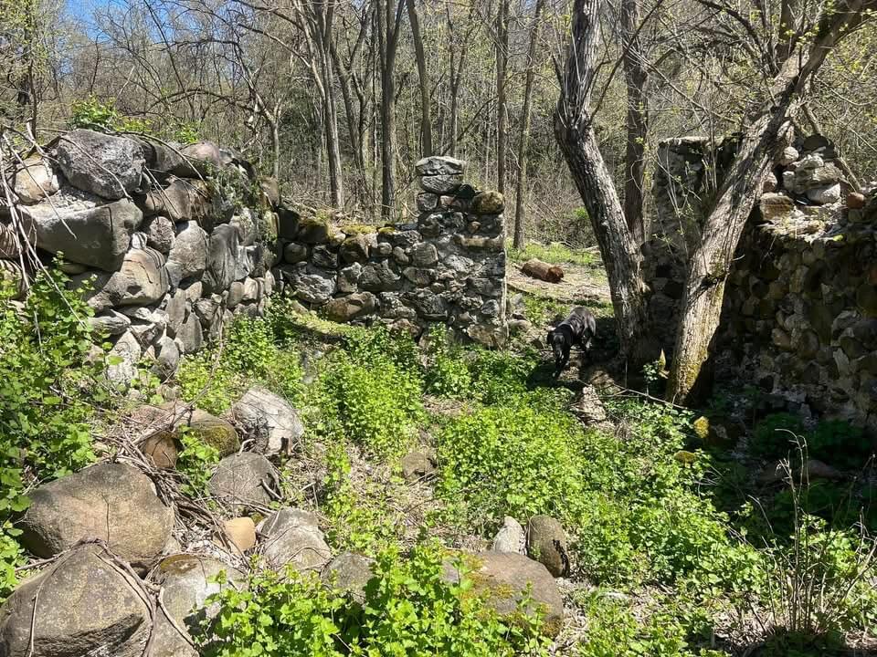 Fieldstone Ruin Recovery view 8